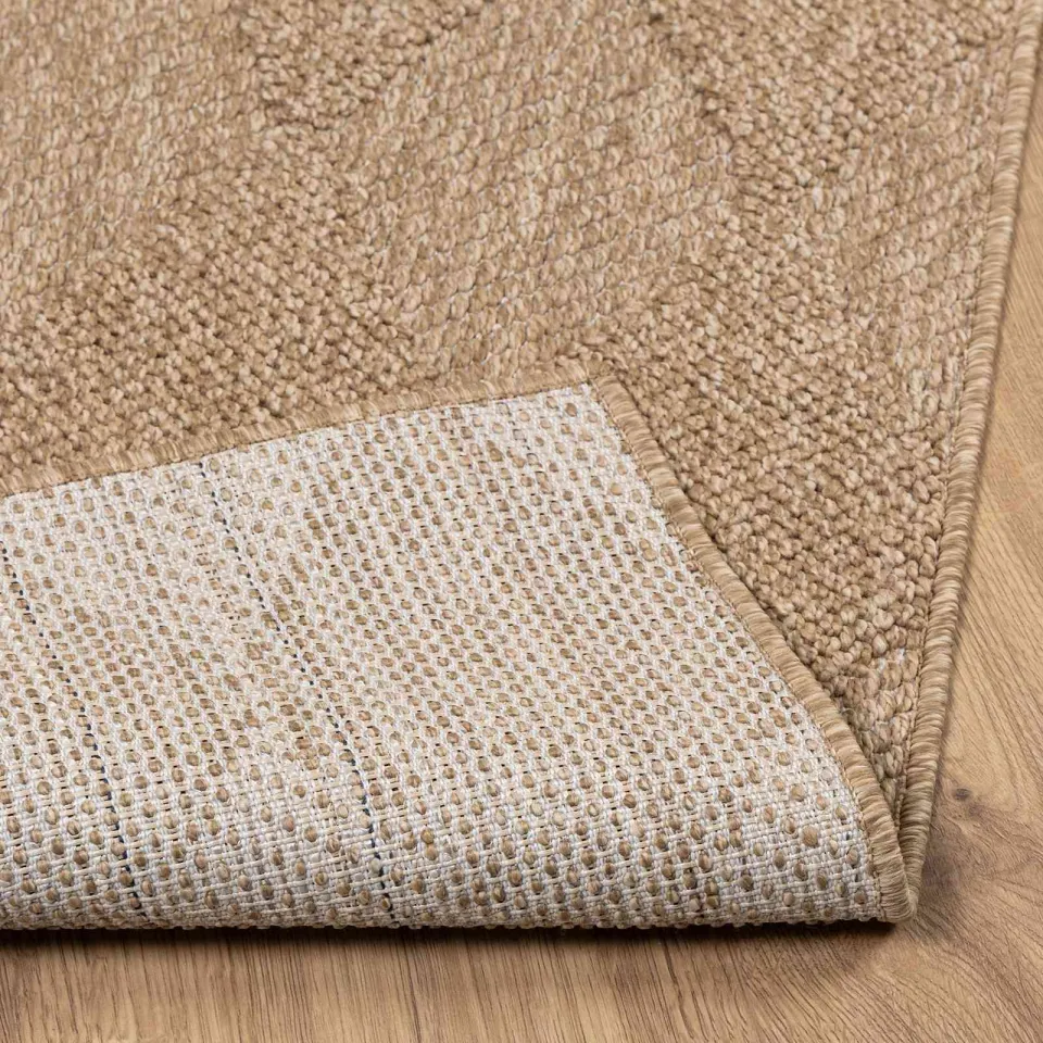 vidaXL Binnen- en buitentapijt AGIRA Naturel 150 x 80 cm Polyester, foto 4