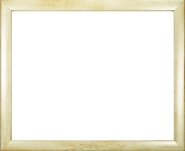 Homedecoration Colorado - Fotolijst - Fotomaat - 48 x 96 cm - Zandkleur geborsteld