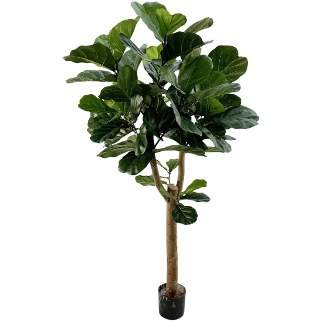 maxifleur Kunstplanten Lyrata Deluxe Y Kunstboom 170cm in pot Groen