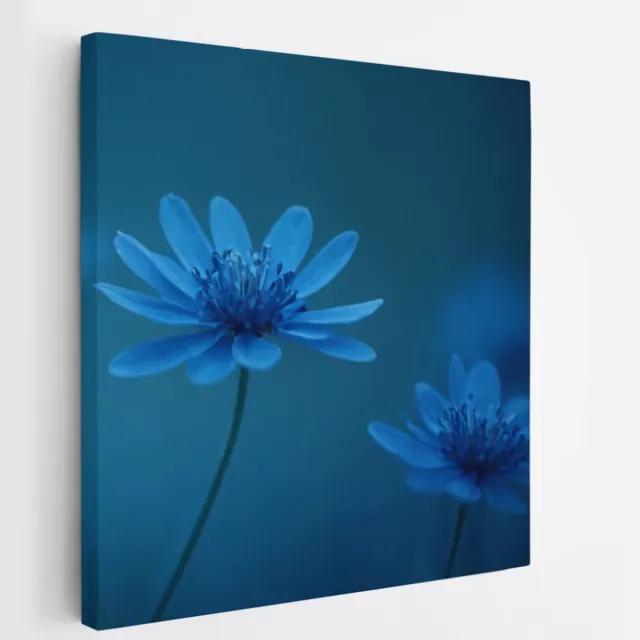 Saammp Canvas Schilderij - Blauwe Bloemen Mystiek - Natuur - Abstract - 40x40 - Foto op canvas - Wanddecoratie - Muurdecoratie Woonkamer - Kantoor Decoratie Multicolor