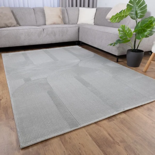 Koho Carpets Grijs Tapijt Kwalitatief Laagpolig Vloerkleed Koho Premium Touch 3D Toon op Toon Japandi Stijl - 200x290cm- Modern - Woonkamer - Salon - Slaapkamer - Eetkamer