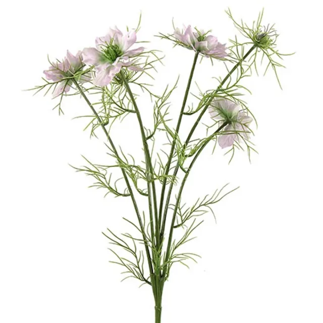 Countryfield Cosmos Bipinnatus Jalisha Paars - Zijdenbloem