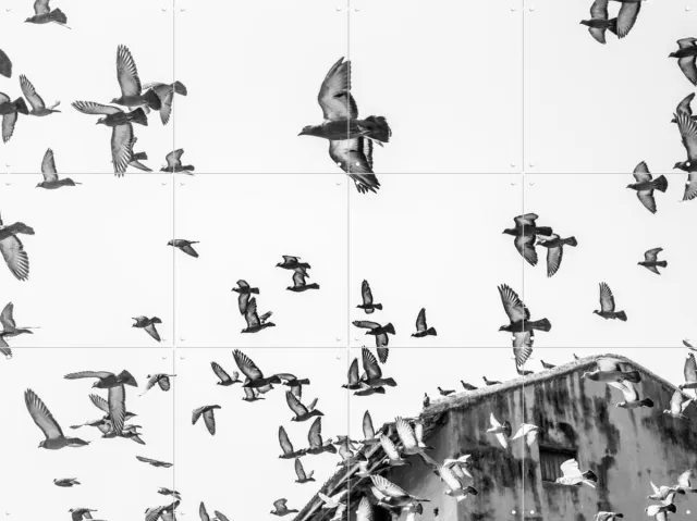 IXXI Birds in the Sky, Photolovers - 80 x 60 cm - Grote wanddecoratie en posters - Fotografie, Woonkamer, Slaapkamer, Natuur, Lucht, Dieren, Vogels Monochroom / Zwart / Zwart en wit