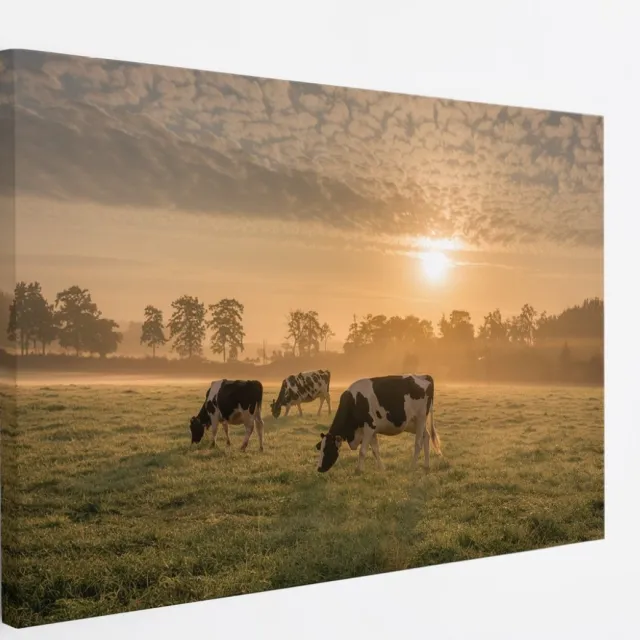 Saammp Canvas Schilderij - Groep koeien in de zonsondergang - Nederland - Dieren - 70x50 - Foto op canvas - Wanddecoratie - Muurdecoratie Woonkamer - Slaapkamer decoratie - Canvas Print Multicolor