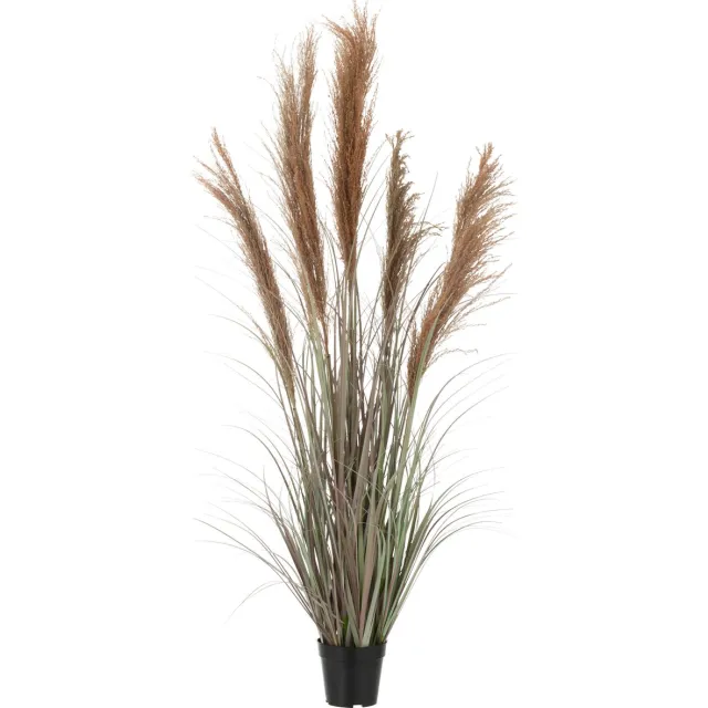 J-Line pampas gras 5 koppen in pot - kunststof - groen/oranje - small