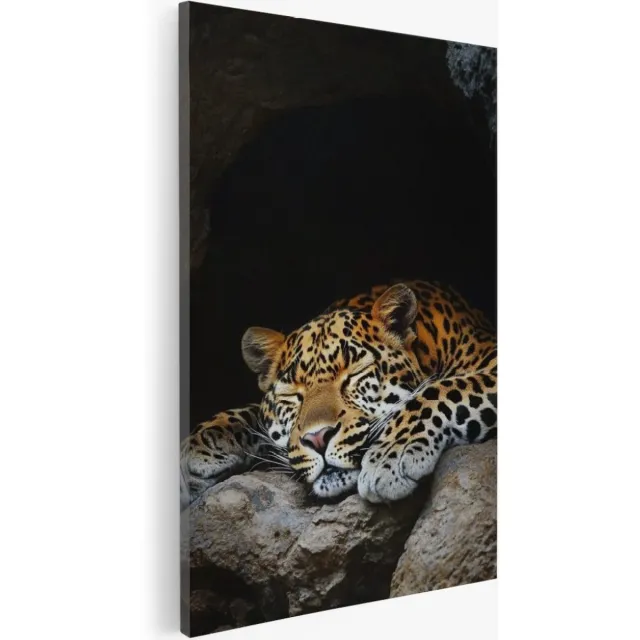 Saammp Canvas Schilderij - Slapende Luipaard - Dieren - Natuur - 40x50 - Foto op canvas - Wanddecoratie - Muurdecoratie Woonkamer - Slaapkamer decoratie - Canvas Print Multicolor