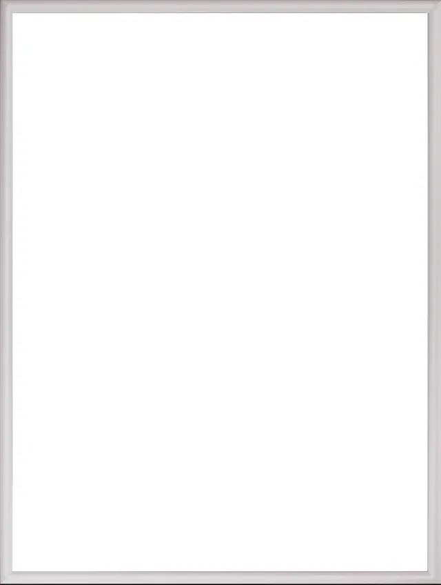 Homedecoration Almelo – Fotolijst – Fotomaat – 28 x 50 cm – Zilver Mat