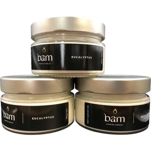 Bam kaarsen - 3 geurkaarsen - eucalyptus - 40 branduren per kaars - op basis van zonnebloemwas - moederdag - cadeau - vegan doorschijnend eucalyptus