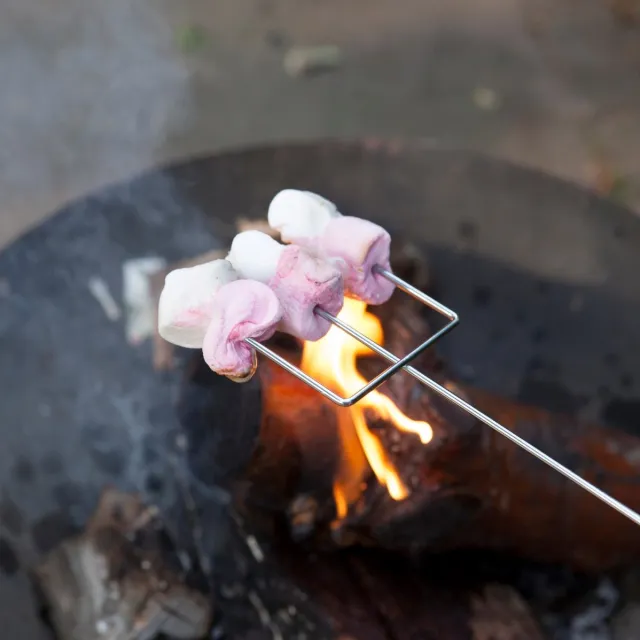 Esschert Design Marsh mallow Vork aluminium