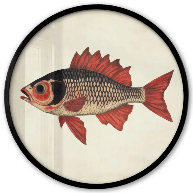FrameYourWall Poster in lijst Rond - Fotolijst 40x40 cm - Posters - Schubben - Rood - Vis - Vinnen - Ronde posterlijst zwart - Decoratie - Wanddecoratie woonkamer - Muurdecoratie slaapkamer