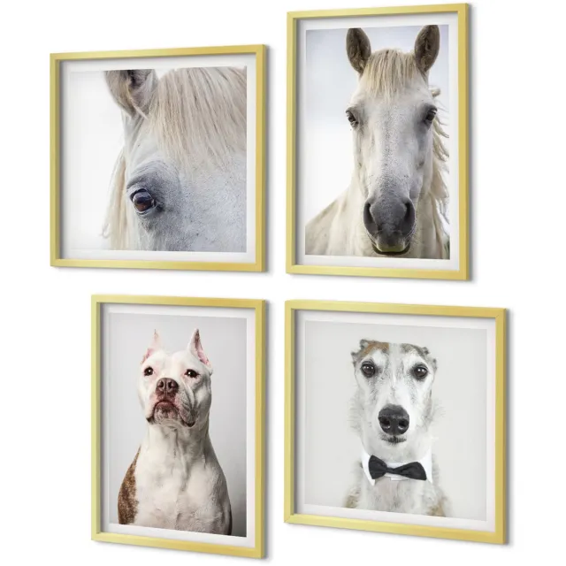 Coloray 4-Delige Schilderij Set - Interessante portretten van honden en paarden in een elegante stijl. - 40 x 40 cm en 40 x 60 cm - Stijlvolle Muurdecoratie - Slaapkamer - Interieur Decoratie Gouden lijst