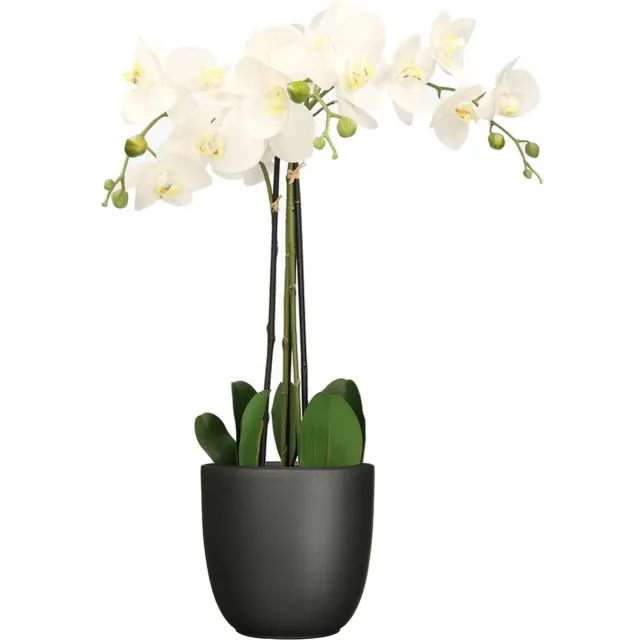 Mica Decorations Orchidee kunstplant wit - 75 cm - inclusief bloempot zwart mat - Kunstbloemen in pot