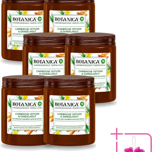 Air Wick 6 x Botanica by Air Wick - Geurkaars - Vetiver & Sandelhout - 40 Uur Brandduur - Bulkverpakking - Geurkaars vetiver sandelhout - Douchemop - Vetiver geur Bruin