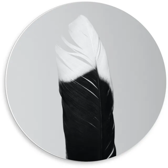 KuijsFotoprint Forex Wandcirkel - Zwart/wit Veer - 50x50cm Foto op Wandcirkel (met ophangsysteem)