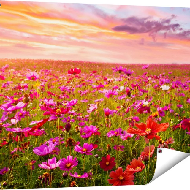Gards Tuinposter Kleurrijke Kosmos Bloemenveld - 100x80 cm - Tuindoek - Tuindecoratie - Wanddecoratie buiten - Tuinschilderij Multikleur