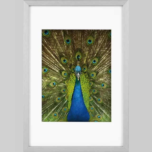Goldbuch Fotolijst Pino - Zilver - 15x20 cm (20x30 cm)