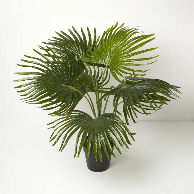 Homescapes kunstpalm in pot, waaierpalm, 80 cm Groen