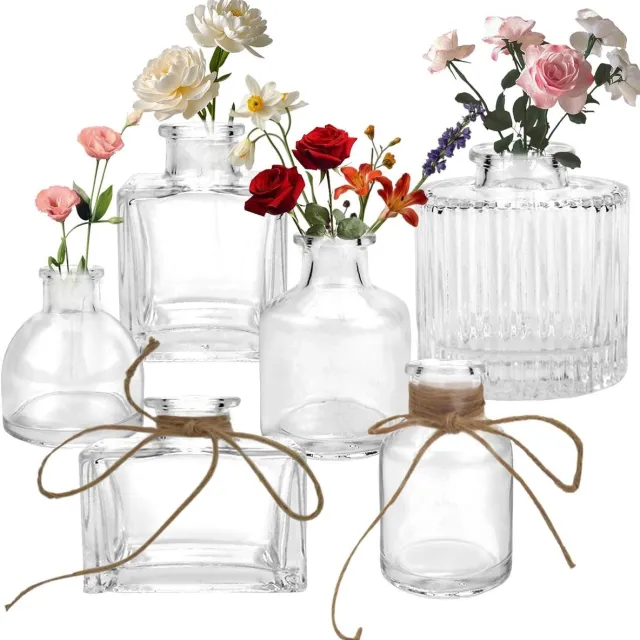 By Shayne ByShane - Set van 6 kleine glazen vazen in verschillende vormen voor tafel- en bruiloftsdecoratie - Mini vintage decoratieve vazenset met bloemenvazen Any