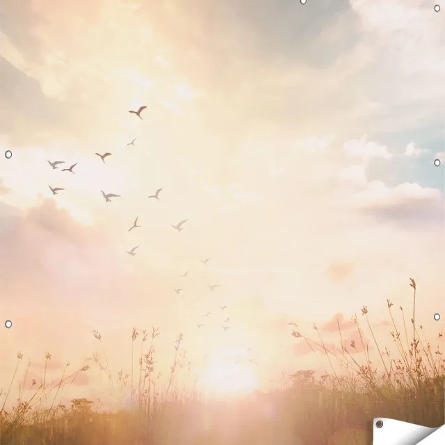 Gards Tuinposter Silhouet Vogels tijdens Zonsopkomst - 120x120 cm - Tuindoek - Tuindecoratie - Wanddecoratie buiten - Tuinschilderij Multikleur