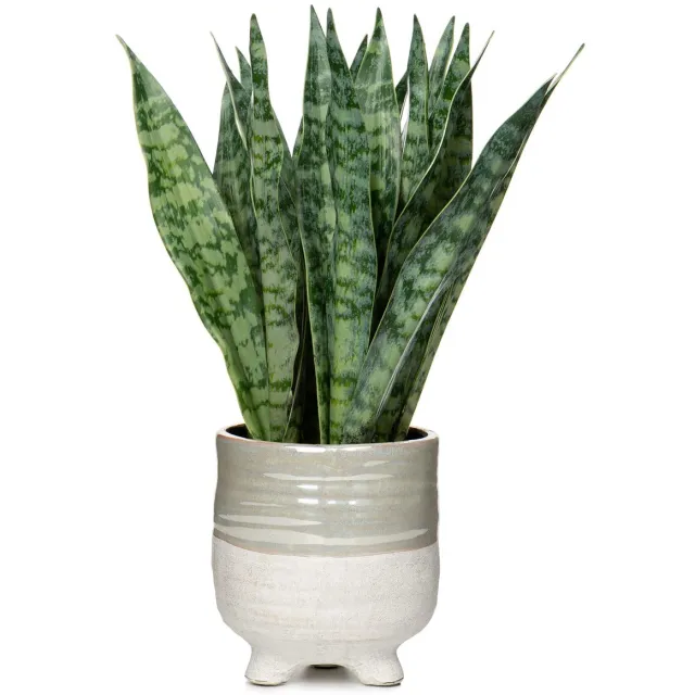 Unyqoos Decoratieve kunstplant met keramische pot voor huis en kantoorinterieur Groen