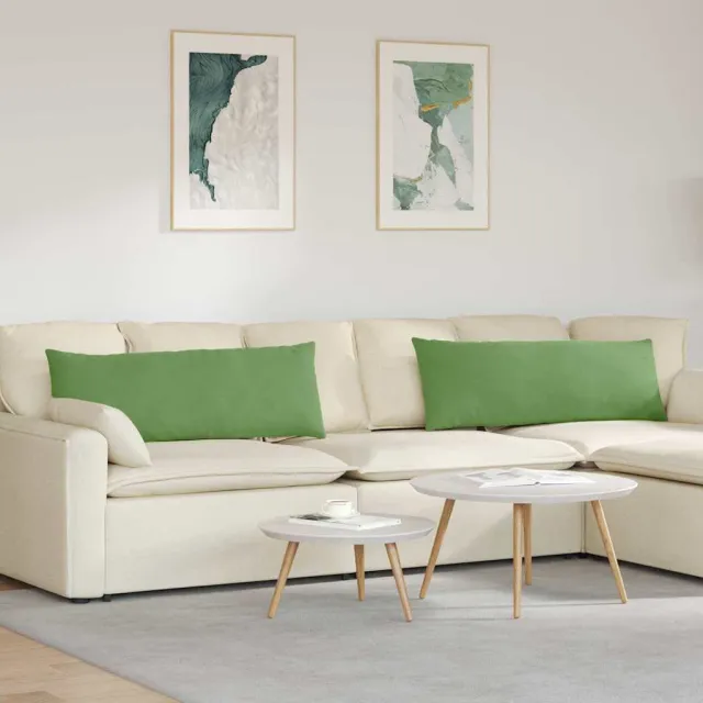 vidaXL Sofa Kussens 2 st fluweel Lichtgroen 120 x 40 cm