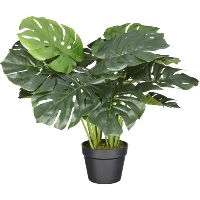 HTT Decorations Kunstplant Monstera H60cm - HTT Decorations kunstplanten Groen