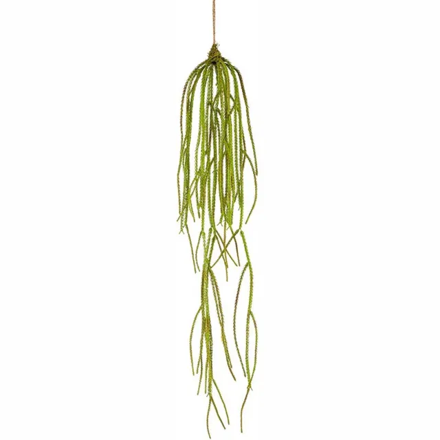 Emerald Hangplant lycopodium l90 cm Emerald onbekend