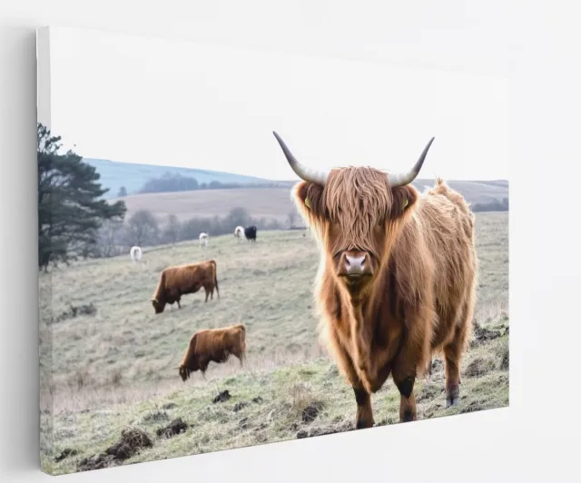 Saammp Canvas Schilderij Schotse Hooglander Koe in het bevroren gras - Dieren - Natuur - 120x80 - Foto op canvas - Wanddecoratie - muurdecoratie Woonkamer - Slaapkamer decoratie - Canvas Print multicolor