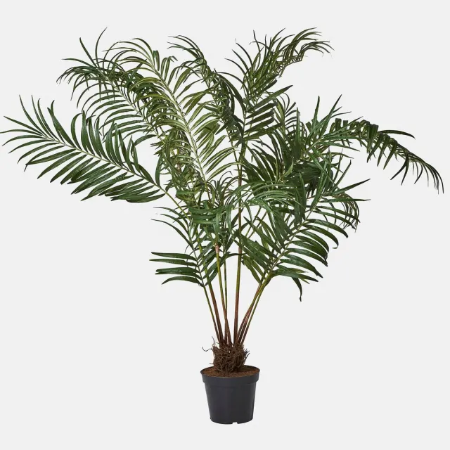Loberon Decoratieve palmplant Mersina groen