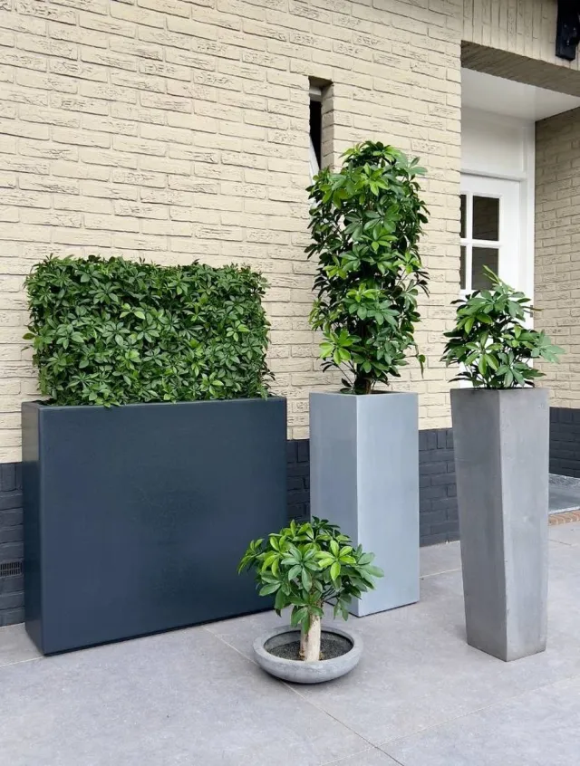 LeopoldFlora Buiten kunsthaag Schefflera 80x25x56 cm UV Groen