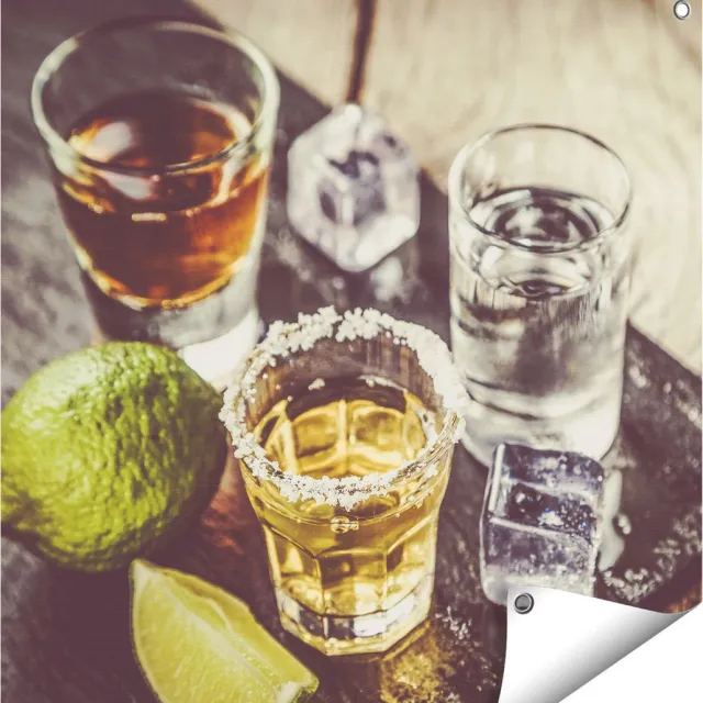 Gards Tuinposter Alcoholische Drankjes - Drank - 70x70 cm - Tuindoek - Tuindecoratie - Wanddecoratie buiten - Tuinschilderij Multikleur