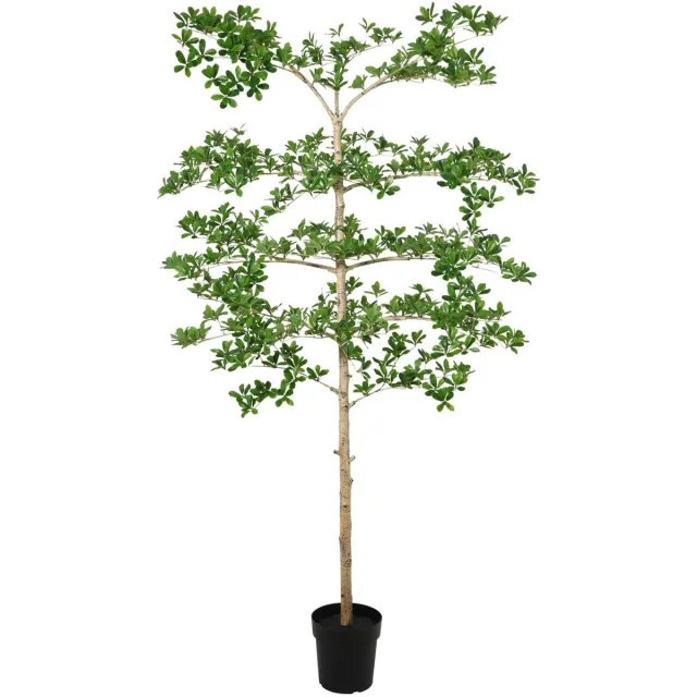 Trendyplants Kunst Bucida – Bucida boom – Kunstplant – Hoogte 200 cm – Potmaat Ø21cm Groen