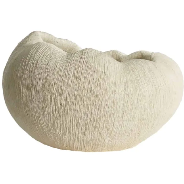 Light & Living Vaas Denisa - Crème - 52.5x42.5x34cm - Kunststof - Modern - Bloemenvaas - Woondecoratie - Decoratieve vaas voor woonkamer of slaapkamer Wit