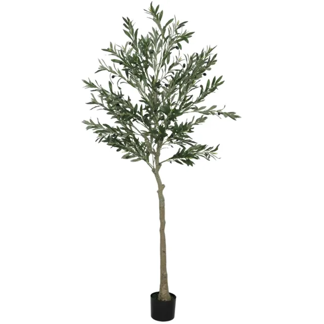 ZYLARO Kunstolijfboom - 180 cm - 900 bladeren - 40 olijven - Stevige bloempot - Groen