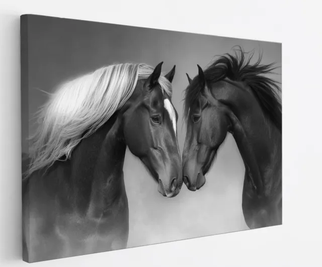 Saammp Canvas Schilderij - 2 Verliefde Paarden - Kunst - Dieren - Natuur - 70x50 - Foto op canvas - Wanddecoratie - muurdecoratie Woonkamer - Slaapkamer decoratie - Canvas Print Multicolor