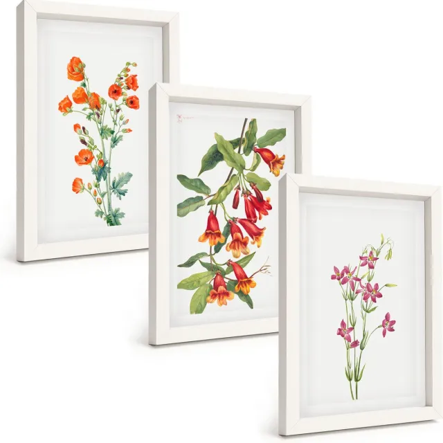 TULUP 3-Delige Schilderij Set - Vintage retro bloemenschilderij - 20x30 - Muurdecoratie - Wanddecoratie - Slaapkamer - Stijlvolle Muurdecoratie Witte lijst