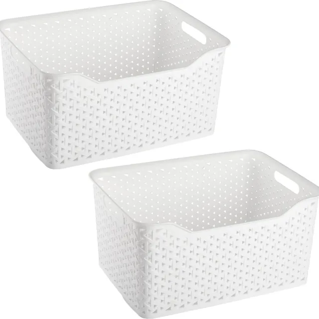 PLASTICFORTE opbergmand/kastmandje - 2x - 18 liter - ivoor wit - kunststof - 29 x 39 x 19 cm