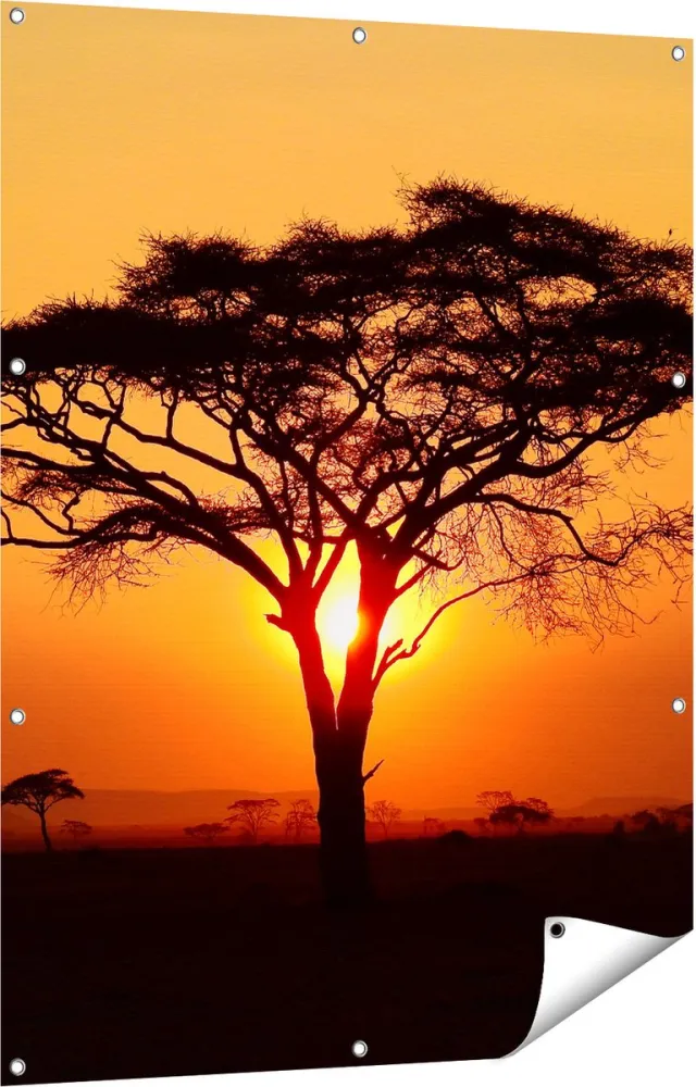 Gards Tuinposter Zonsondergang Achter een Savanne Boom - 90x120 cm - Tuindoek - Tuindecoratie - Wanddecoratie buiten - Tuinschilderij Multikleur
