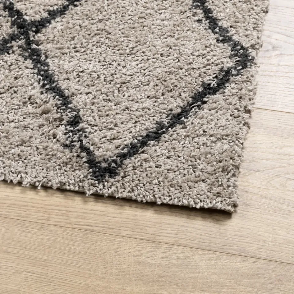 vidaXL Vloerkleed PAMPLONA shaggy hoogpolig beige antraciet, foto 8