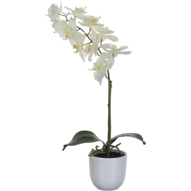 Mica Decorations Phalaenopsis Kunstplant in Bloempot Tusca - H60 x Ø16 cm - Wit