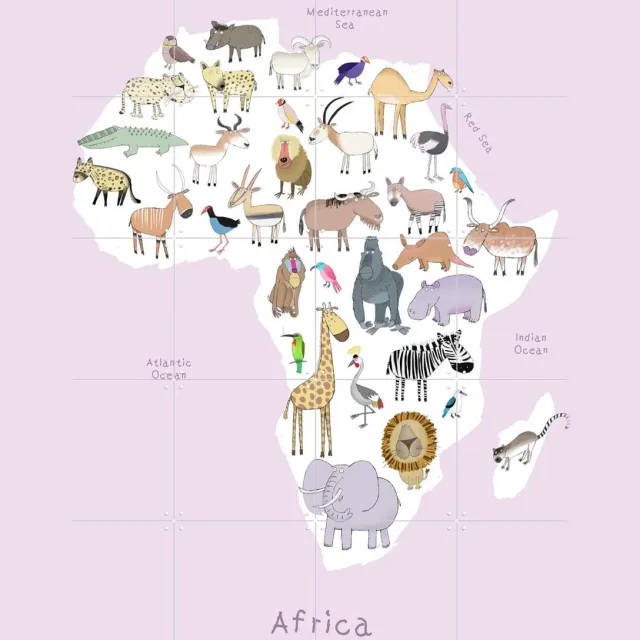 IXXI Africa - Pink, Carla Daly - 80 x 100 cm - Grote wanddecoratie en posters - Illustraties, Kleurrijk, Cartoonesk, Speels, Digitale Kunst Roze