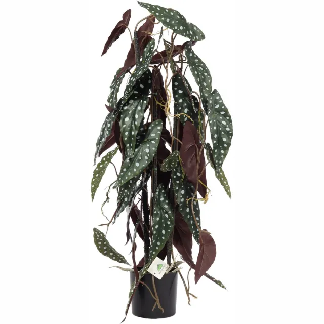 Kunstpalm Kunst Kamerplant Begonia | 80cm - Kunstplant voor binnen - levensechte kunstplant - Begonia kunstplant met stippen Donkergroen