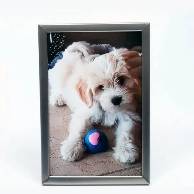 Alle lijsten AL - Mat Zilver - Fotolijst - Strak - 5 x 8 cm