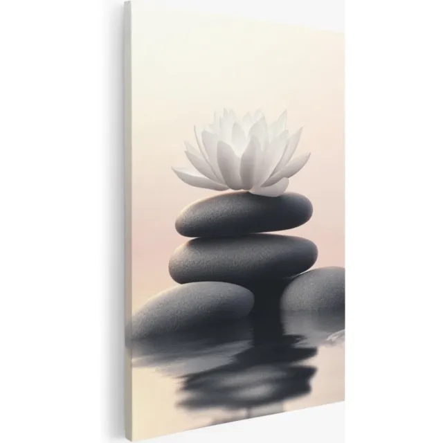 Saammp Canvas Schilderij - Witte Bloemen met stenen - Landschap - Natuur - 100x150 - Foto op canvas - Wanddecoratie - Muurdecoratie Woonkamer - Slaapkamer decoratie - Canvas Print Multicolor