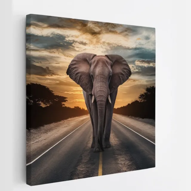 Saammp Canvas Schilderij - olifant op de weg - Afrika - Dieren - 40x40 - Foto op canvas - Wanddecoratie - muurdecoratie Woonkamer - Slaapkamer decoratie - Canvas Print Multicolor