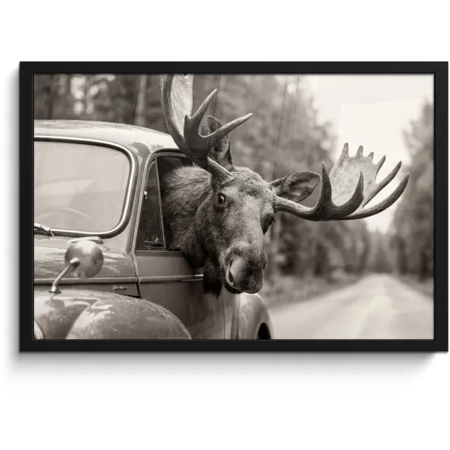 FrameYourWall Poster in lijst - Fotolijst 60x40 cm - Posters - Eland - Auto - Gewei - Zwart - Wit - Posterlijst zwart - Decoratie - Wanddecoratie woonkamer - Muurdecoratie slaapkamer