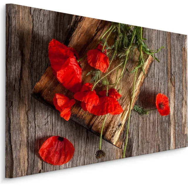 karo-art Schilderij - Wilde klaprozen op hout (print op canvas), premium print Multikleur