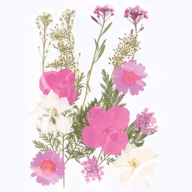 Artemio Geperste droogbloemen - Artemio roze