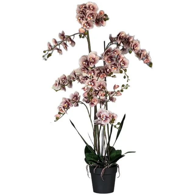 Hendriks Deco Zijden Orchidee- Zijden Phalaenopsis- Kunst Plant- Nep Plant- Zalm Kleur- Groot 150cm