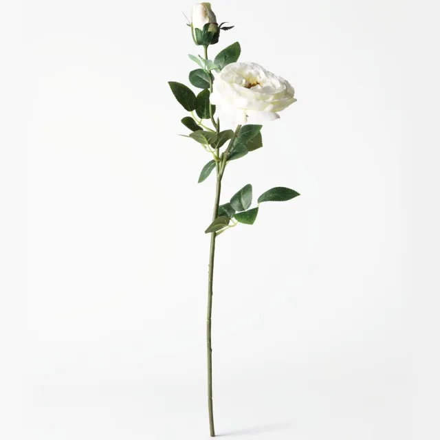 HEMA Kunstbloem roos 55cm wit (wit)